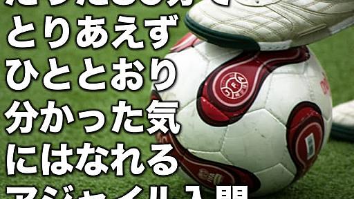 とりあえず30分でひととおり分かった気にはなれるアジャイル入門