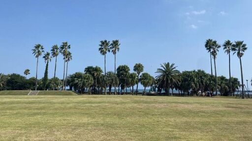 悪気のないおじさんたち｜帆立の詫び状｜新川帆立