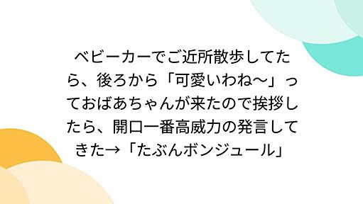 ベビーカーでご近所散歩してたら、後ろから「可愛いわね〜」っておばあちゃんが来たので挨拶したら、開口一番高威力の発言してきた→「たぶんボンジュール」