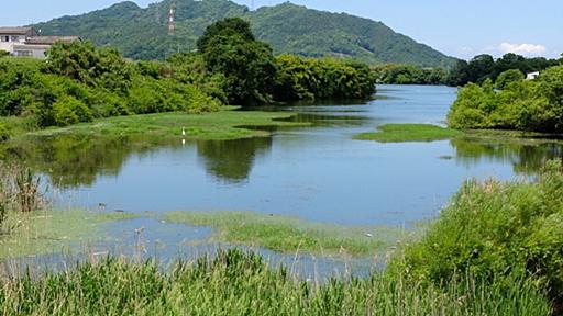 池めぐり三十余年。全国7,000の水辺をめぐった私の「池の沼」を語ろう #それどこ - ソレドコ