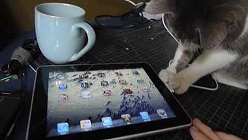 iggy investigates an ipad