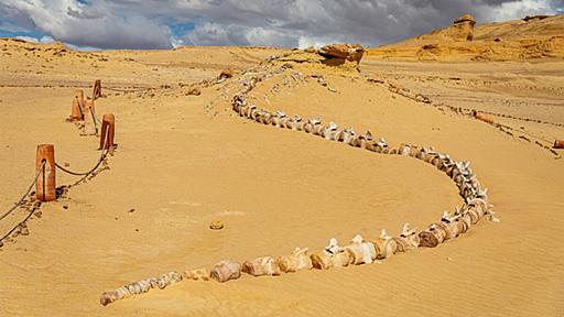 太古のクジラが砂漠に眠る、異世界のようなエジプトの世界遺産へ