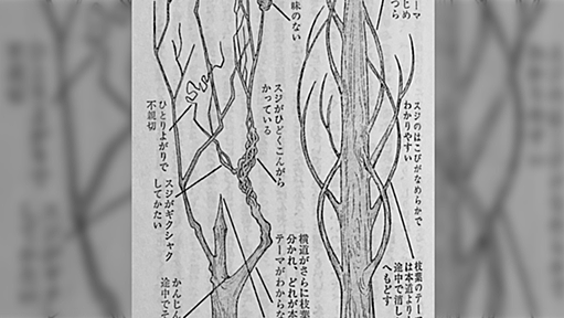 「マンガが描けない人」のマンガは、セリフで説明してるので、何が展開してるか分からない。……状況を確認せねばならないので、疲れが溜まっていく。