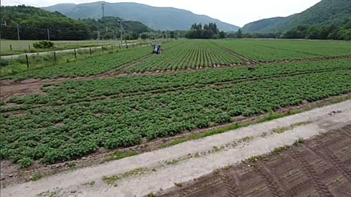 畑に熊が出たのでドローンで撮影したら、色々と衝撃的だし新しい可能性を感じさせられる結果に