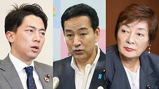 小泉進次郎氏は「山際衆院議員の旧統一教会汚染」告発を握りつぶした〈議員歴25年自民県議が離党し証言〉 | 文春オンライン