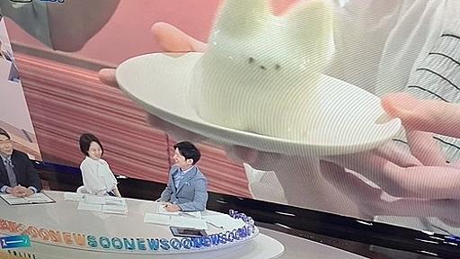 NHK・フジテレビ「韓国発猫プリン」←日本人デザイナー森井ユカさんが作った物だったのにいつの間にかパクられる : ハムスター速報