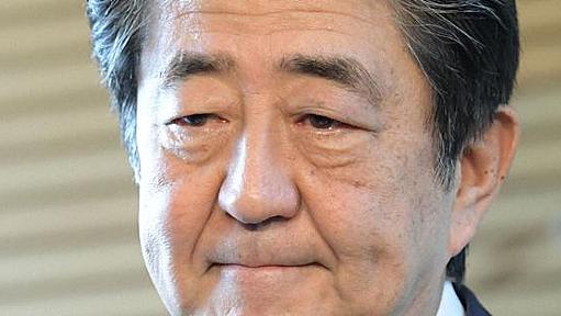 『安倍首相「プラスチックの敵視や排斥はすべきでない」 - 毎日新聞』へのコメント