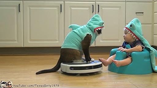 #SharkCat Entertains #SharkBaby! Happy #SharkWeek!!! | TexasGirly1979