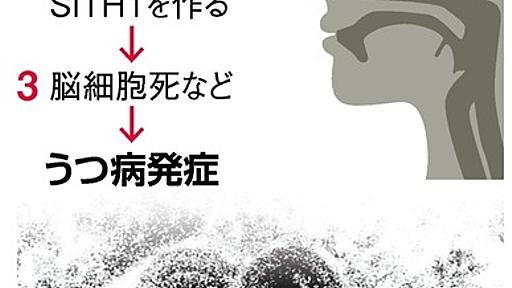 うつ病の「引き金」物質を確認　名前の由来はあの敵役：朝日新聞デジタル