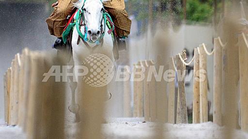 雨の中の流鏑馬、隅田公園