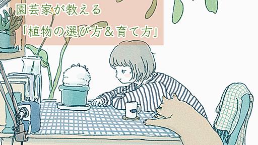 観葉植物と暮らすコツは、実はとてもシンプル。「植物の選び方＆育て方」の基本を園芸家が教えます #ソレドコ - ソレドコ