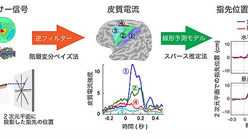 指先の細かな動き、脳活動から再現　訓練不要、「考えるだけでロボット操作」に一歩