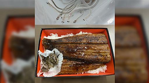 絶滅するまで食ったと思ったら死ぬほど頑張って養殖してるの、海外から見たら恐怖だろうな→ うなぎからしたらホラーSFモノ。うなぎ「人は2度死ぬ。我らは3度じゃ。」