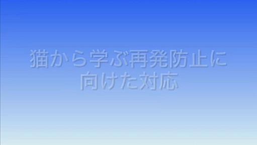 カメントツ先生による「猫から学ぶ転倒事故発生と再発防止対応についてのビデオ」あまりの完成度に研修への導入が切望される