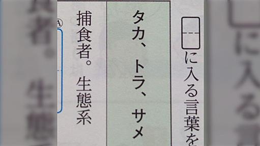 「タカ、トラ、サメ」捕食者の羅列だがなんだかもやもやする話…「サメじゃなくてバッタでしょ」「サラミ～ウオ」など