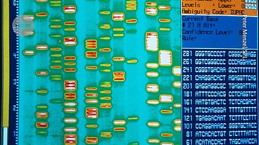 It’s time to admit that genes are not the blueprint for life