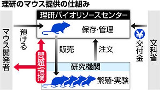 理研、誤ったマウスを提供　４１機関、研究に支障も：朝日新聞デジタル