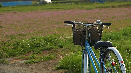 ﾚﾝｹﾞのじゅうたんを求めて飛鳥路ｻｲｸﾘﾝｸﾞ - ﾒﾚﾝｹﾞが腐るほど恋したい