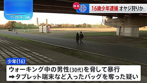 【独自】「おい、何がんたれてんだ」東京・江戸川河川敷で“おやじ狩り”か　ウォーキング中の男性を暴行しバッグ奪う…強盗傷害容疑で少年（16）を逮捕　警視庁 | TBS NEWS DIG